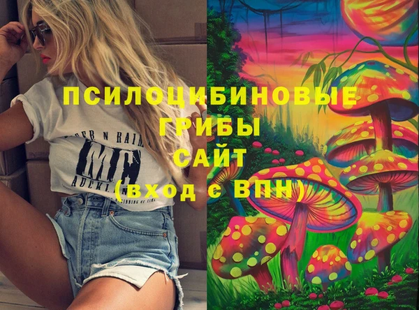 спайс Инта