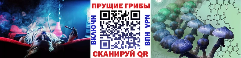 Псилоцибиновые грибы Cubensis Ковдор